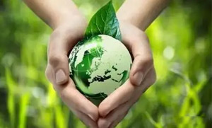 云博在线零碳（近零碳）发展战略和实施方案